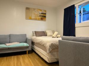 a bedroom with a bed and a couch and a window at Mt Eden Tidy Unit B in Auckland
