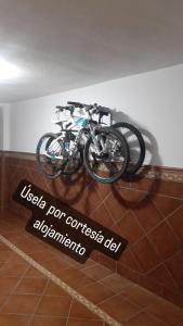 Duas bicicletas estão em exposição num quarto em Ribera house Sevilla em Coria del Río