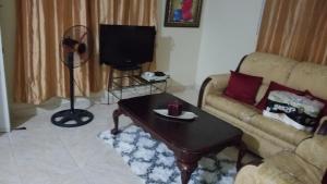 TV a/nebo společenská místnost v ubytování Apartamentos JuanSabeloTodo
