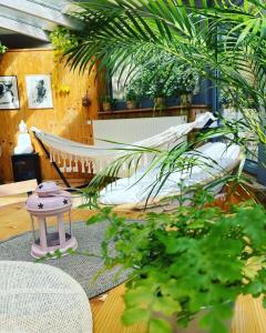 a hammock in a room with a bed and plants at Le Manoir des Sens - Forêt de Bergheim in Thannenkirch
