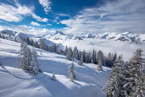 una montaña nevada con árboles y montañas cubiertas de nieve en HIDEAWAY DESIGN CHALET by Belle Stay, en Kitzbühel