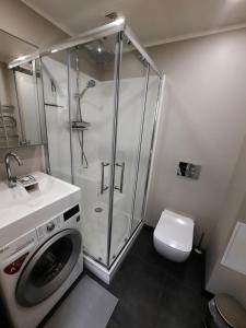 a bathroom with a shower and a washing machine at Zemgales 13 in Iecava