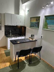 - une cuisine avec un comptoir et 2 chaises dans une pièce dans l'établissement Guesthouse Hurma Rooms, à Sarajevo