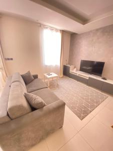 a living room with a couch and a flat screen tv at Cap d ail 2 pièces proches Monaco et plage in Saint-Antoine
