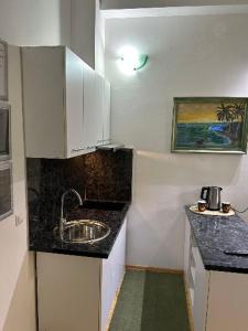 a small kitchen with a sink and a counter at Guesthouse Hurma Rooms in Sarajevo