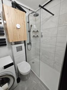 a bathroom with a shower and a toilet and a sink at Medyka Loft in Medyka