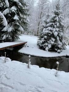 a snow covered yard with trees and a river at KENT in Mărişel