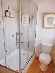 a bathroom with a shower and a toilet at Bantham Beach Pad in Thurlestone