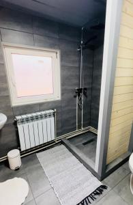 een badkamer met een douche en een raam bij садиба Дерев*яна Хата in Verkhovyna