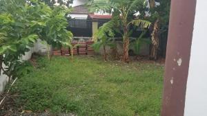 une rangée de bananiers dans une cour dans l'établissement Apartamentos JuanSabeloTodo, à Santiago de los Caballeros