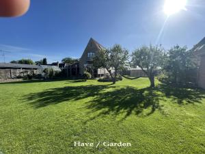 a shadow of a tree on a field of grass at Bak Guesthouse in Copenhagen