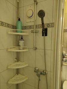 La salle de bains est pourvue d'une douche et d'étagères. dans l'établissement Ferienwohnung in Köln 2909, à Cologne