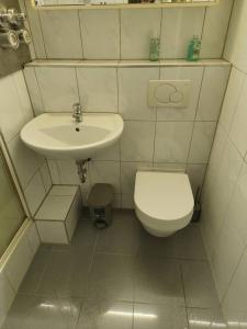科隆的住宿－Ferienwohnung in Köln 2909，一间带卫生间和水槽的小浴室
