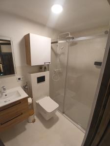 La salle de bains est pourvue d'une douche, de toilettes et d'un lavabo. dans l'établissement Pod Domem, à Grodzisk Mazowiecki