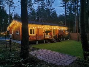 a cabin in the woods with lights on it at Forrest Kitakaruizawa in Tsumagoi