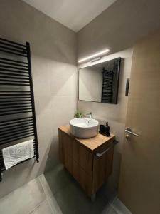 een badkamer met een wastafel en een spiegel bij Apartman V u centru Kutine in Kutina