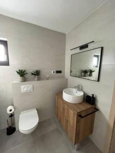 La salle de bains est pourvue d'un lavabo, de toilettes et d'un miroir. dans l'établissement Apartman VI u centru Kutine, à Kutina