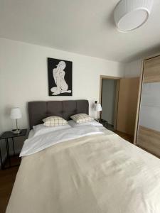sypialnia z dużym białym łóżkiem z 2 poduszkami w obiekcie Apartman VI u centru Kutine w mieście Kutina