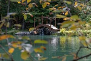 eine kleine Brücke über einen Teich in einem Park in der Unterkunft Le Domaine de l'Étang in Frampton