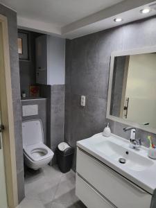 La salle de bains est pourvue de toilettes, d'un lavabo et d'un miroir. dans l'établissement Duplex élégant situé à 1min de la gare du nord, à Bruxelles