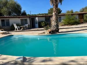 una piscina frente a una casa con palmeras en Bergerie provençale, en Les Lecques