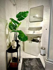 a bathroom with a sink and a mirror and a plant at Wohnung Alte Mainbrücke - GRATIS KAFFEE - NETFLIX - BALKON in Würzburg