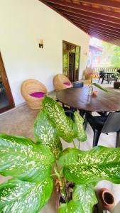 a plant in a room with a table and chairs at Emma's Sea View in Hiriketiya