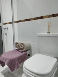 un bagno con servizi igienici e asciugamani su una mensola di Rosana Mariel a Pringles