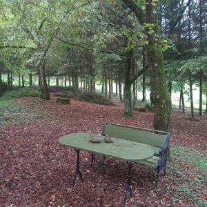 ławka w parku ze stołem w lesie w obiekcie La Haie à Cerf w mieście Watronville