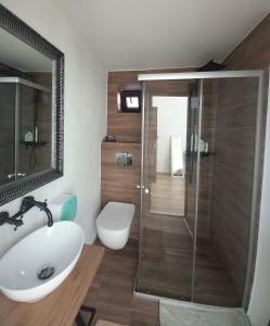ein Bad mit einem WC, einem Waschbecken und einer Dusche in der Unterkunft 4 Seasons Apartments in Bistriţa