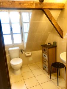 uma casa de banho com um WC e um lavatório em U Zeleného jalovce em Praga