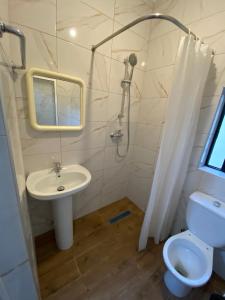 a bathroom with a sink and a shower and a toilet at Gzira Centre Apartment in Il-Gżira