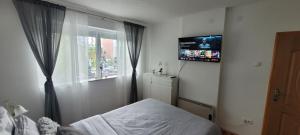 1 dormitorio con 1 cama y TV en la pared en Apartman Vagon en Brčko