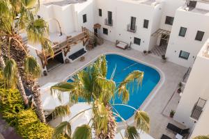 an overhead view of a swimming pool in a building with a palm tree at Bitez Corner Boutique Hotel in Bitez