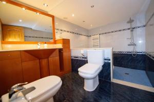 La salle de bains est pourvue de toilettes, d'un lavabo et d'une douche. dans l'établissement Casa Manuel, à Alcañiz