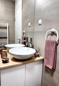 a bathroom with a large white bowl sink on a counter at Apartman Bjelašnica in Bjelašnica