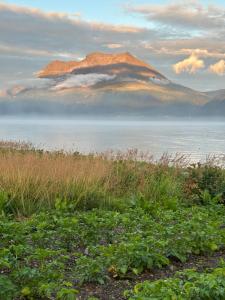 a mountain in the middle of a body of water at 3ART recreation in Tromsø