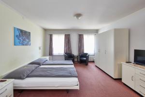 Habitación de hotel con cama y TV en Hotel Rotes Haus, en Brugg