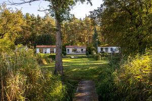 a garden with two houses and a tree at Ferienhaus Haus am See mit Wassergrundstück in Lärz