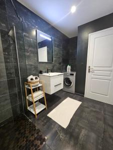 a bathroom with a sink and a washing machine at Appartement T2 bis à morbier in Morbier