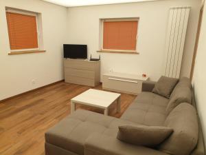 a living room with a couch and a tv at BnB Rivera-Monteceneri in Rivera
