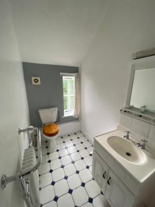 a bathroom with a sink and a mirror and a toilet at The Elsted Inn in Trotton