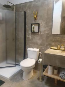 uma casa de banho com um WC, um chuveiro e um lavatório. em סוויטה על שביל הים em Atlit