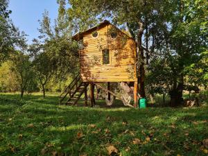 a tree house sitting on a ladder in a field at Apple Tree Cabin (Friendship Land) in Şelari +55 photos