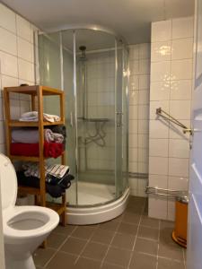 a bathroom with a shower and a toilet at Apartment Brevik in Brevik