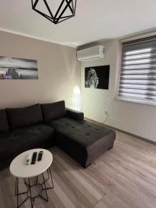 ein Wohnzimmer mit einem schwarzen Sofa und einem Tisch in der Unterkunft Apartman Petrov in Donji Milanovac