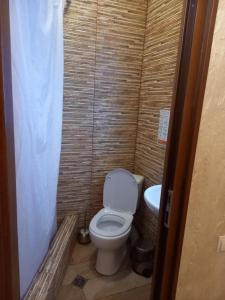 a small bathroom with a toilet and a sink at HOTEl MKUDRO in Kutaisi