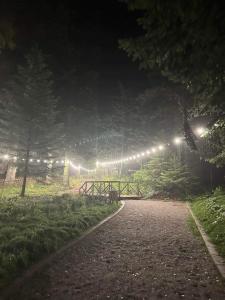 einen Weg in einem Park bei Nacht mit Lichtern in der Unterkunft Cozy Riverside Pine Studio E5 in Borowez