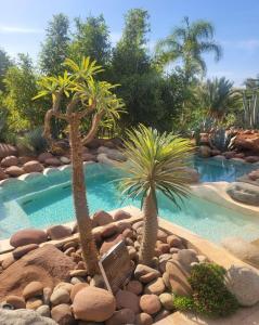 a swimming pool with two palm trees in a garden at Eden Lodges & SPA in Marrakech