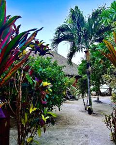 Patio的住宿－EDEN Private Island TAHAA，拥有一束树木和植物的度假胜地